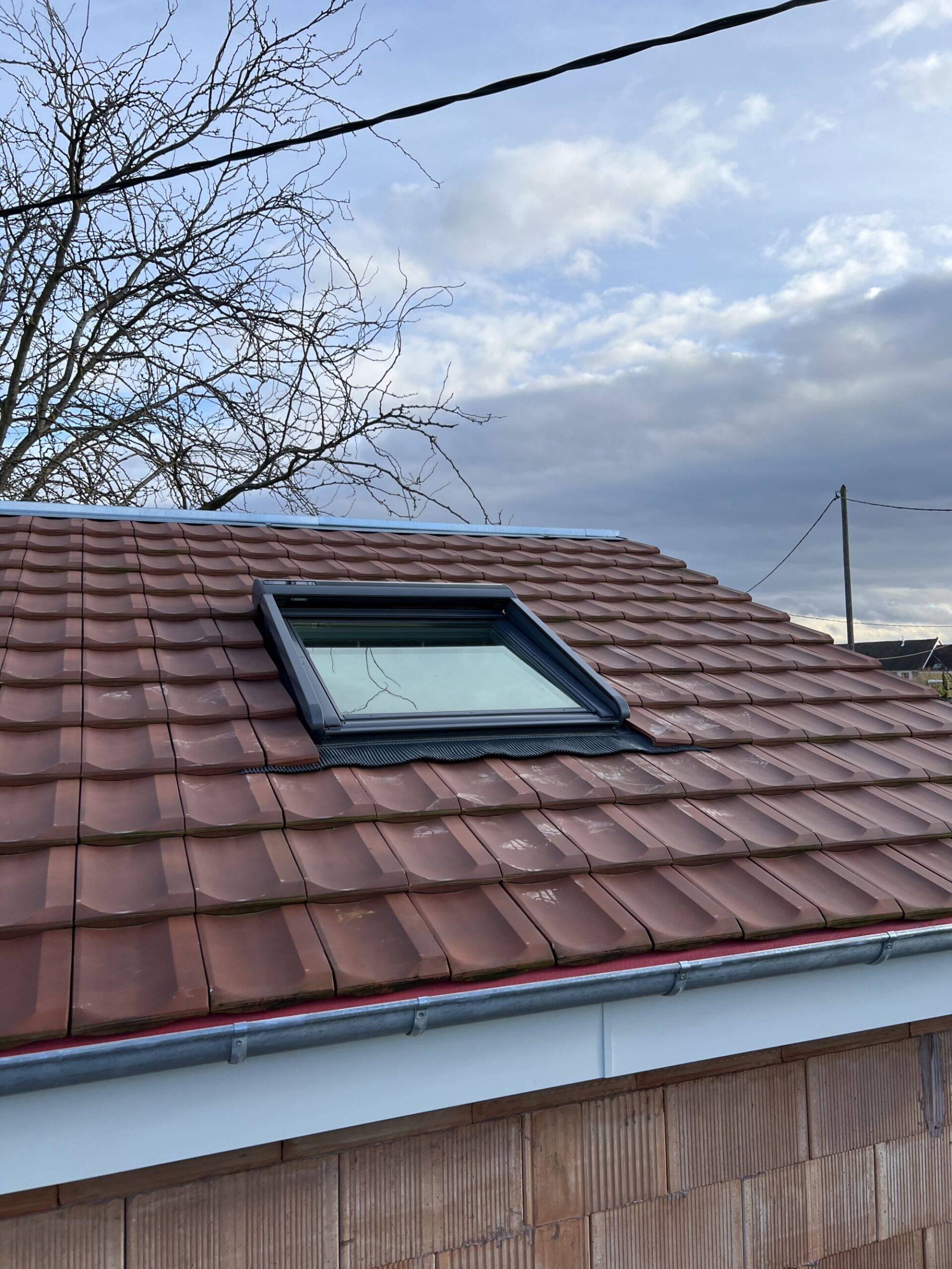 Fenêtre de toit / Moustiquaire Riedisheim 1